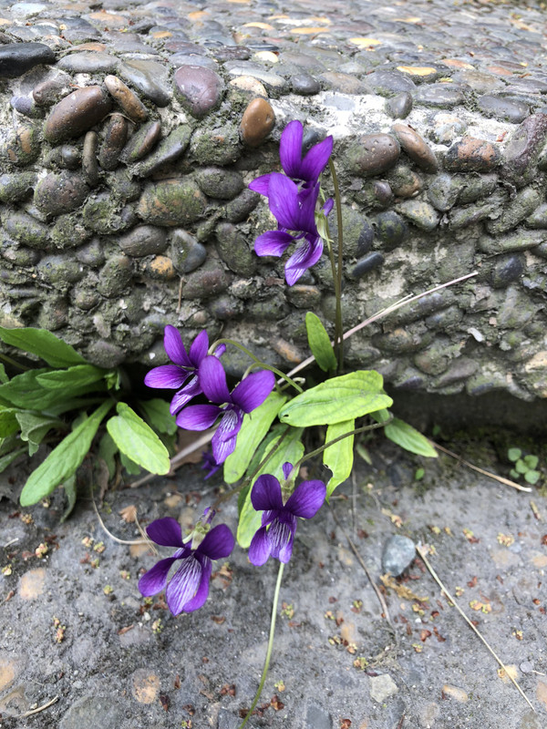 01076c62bbe699b6a2ce8ee5046cfefa5bf